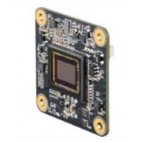 DFM 37UX290-ML USB 3.1 color board camera